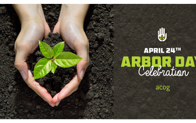 Celebrate OKC Area Trees